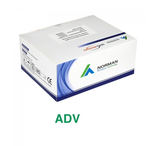 ADV Antigen Test Kit